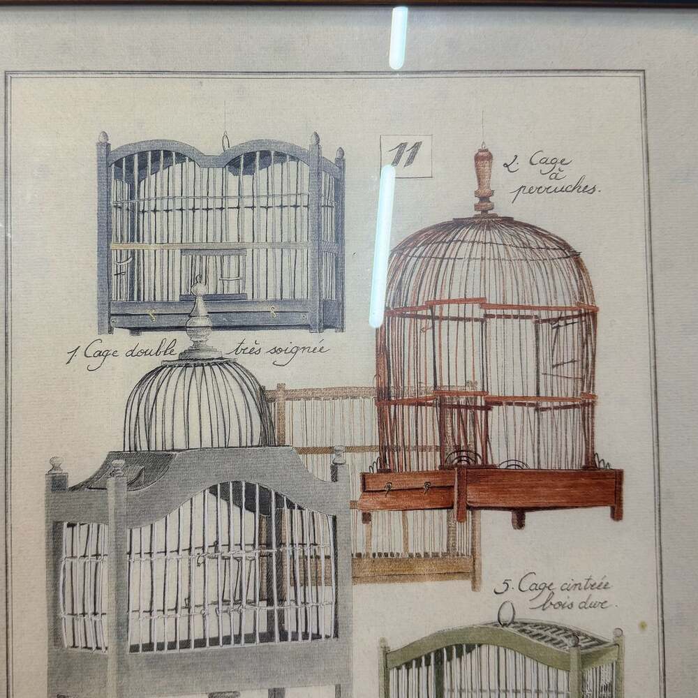 Vintage L. David French Bird Cage Botanical Prints, Distressed Green Frames (2) - Picture 9 of 10